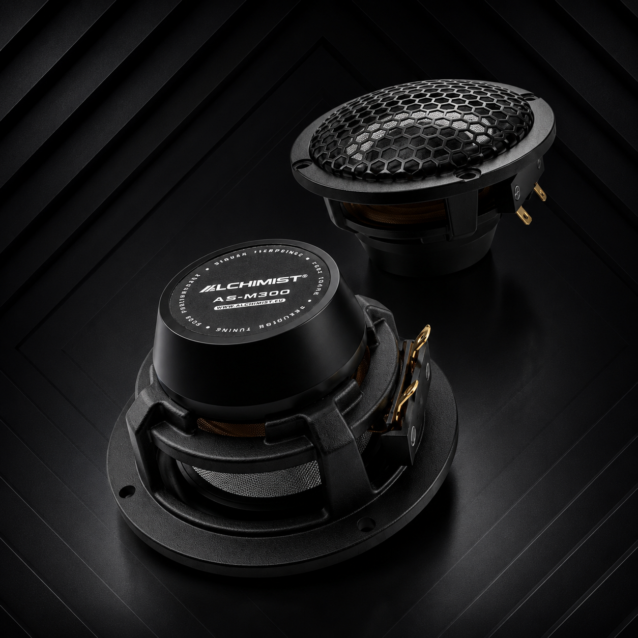 ALCHIMIST ASM-300 – Car Audio Midrange Speaker
